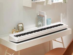 Đàn Piano điện Casio PX-S1000