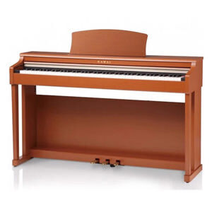 Đàn Piano Điện Kawai CN-28