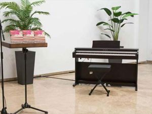 Đàn piano điện Kawai KDP110R