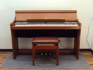 Đàn Piano Điện Kawai L-51