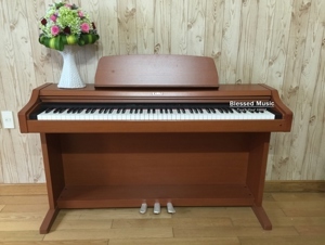 Đàn piano điện Kawai PN-290