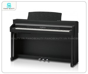 Đàn piano điện Kawai PN-290