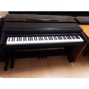 Đàn Piano Điện Kawai PW-300