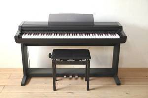 Đàn Piano Điện Kawai PW-300