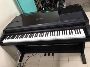 Đàn Piano Điện Kawai PW-300