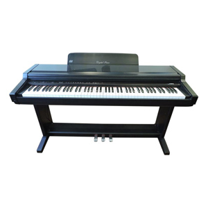 Đàn Piano Điện Kawai PW-600