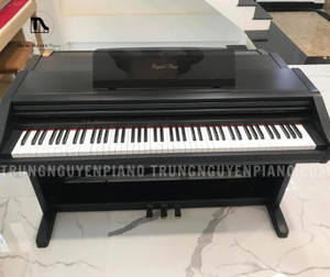 Đàn Piano Điện Kawai PW-600