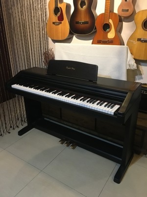 Đàn Piano Điện Kawai PW-800