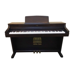 Đàn Piano Điện Kawai PW-810