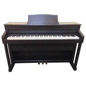 Đàn piano điện Kawai PW920