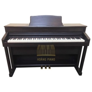 Đàn piano điện Kawai PW920
