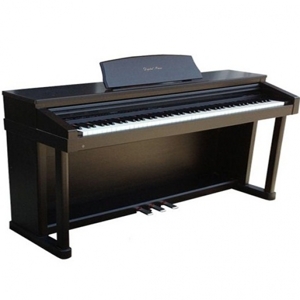 Đàn piano điện Kawai PW920