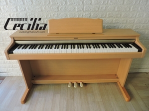 Đàn Piano điện Korg C-2200