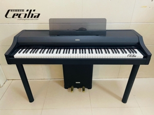 Đàn Piano điện Korg C40