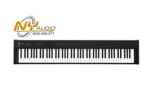 Đàn Piano điện Korg D1