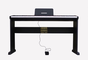 Đàn piano điện maxwell 100
