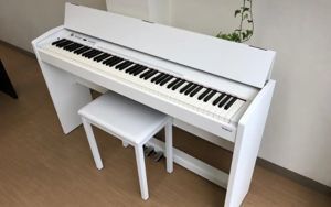 Đàn Piano Điện Roland F120 (F-120)