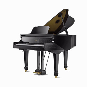 Đàn piano điện Roland GP-609