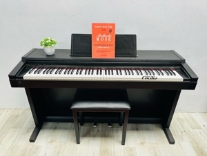 Đàn piano điện Roland HP-1700L