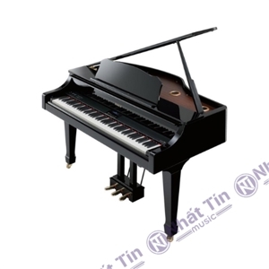 Đàn Piano điện Roland RG-3F