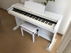 Đàn Piano Điện Roland RP-401R