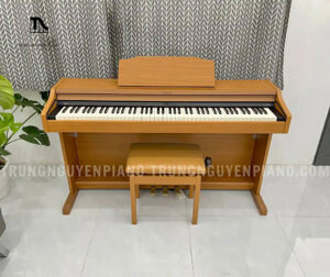 Đàn Piano Điện Roland RP-401R