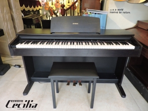 Đàn Piano Điện Yamaha YDP-121