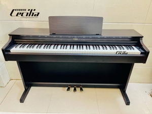 Đàn Piano Điện Yamaha YDP 163 (YDP 163B)