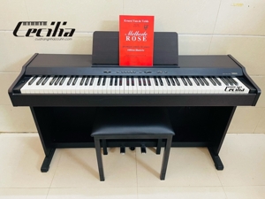 Đàn Piano Điện Yamaha YDP-88