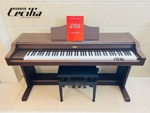 Đàn piano điện Korg C6000