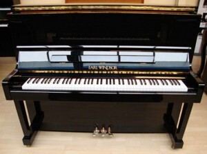 Đàn Piano Earl Windsor W113