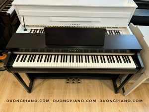 Đàn Piano Kawai CN25 R