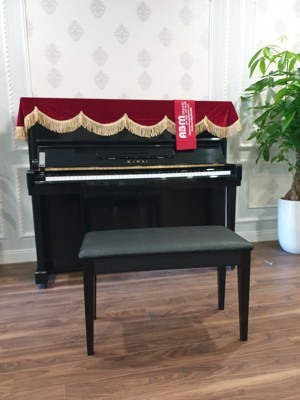 Đàn piano Kawai K20