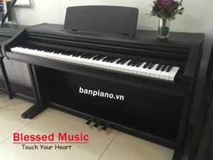 Đàn Piano Kawai PN220