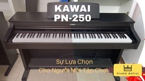 Đàn Piano Kawai PN250
