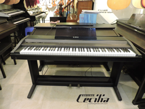 Đàn Piano Kawai PN250