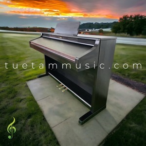 Đàn Piano Kawai PW 970