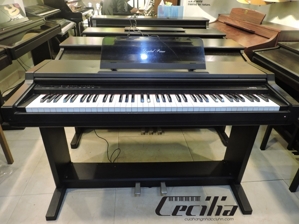 Đàn Piano Kawai PW180