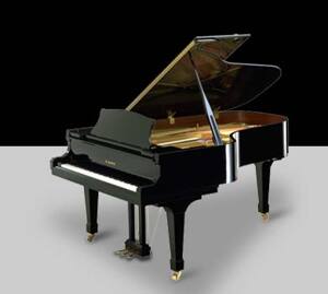 Đàn Piano Kawai RX-6