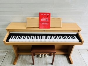 Đàn Piano Korg C-3200 (C3200)