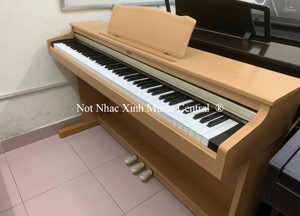 Đàn Piano Korg C-3200 (C3200)