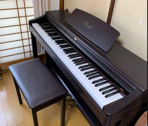Đàn Piano Korg C 505