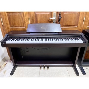 Đàn Piano Korg C303