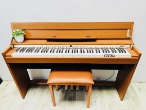 Đàn Piano Roland DP970