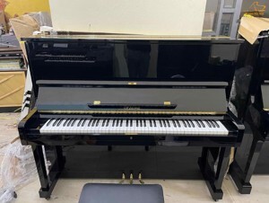 Đàn Piano Roland F30