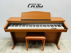 Đàn piano Roland HP-103