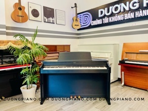 Đàn Piano Roland HP-205SB