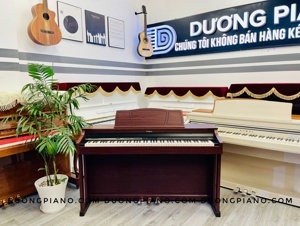 Đàn piano Roland HP-305GP