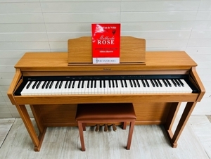 Đàn piano Roland HP-504