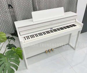 Đàn piano Roland HP-704